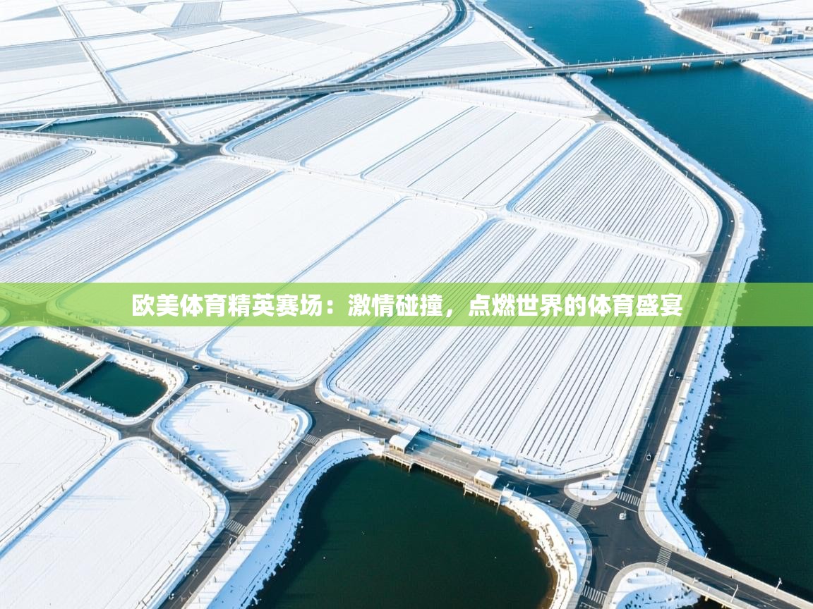 欧美体育精英赛场:激情碰撞,点燃世界的体育盛宴 第2张